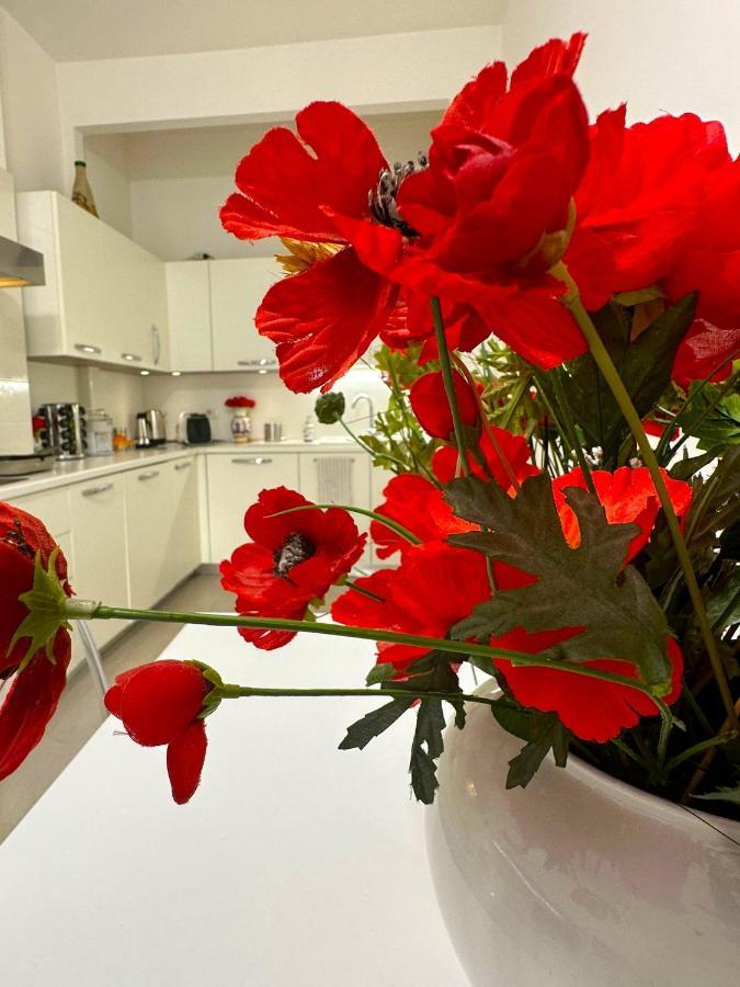 Modern River House Apartment Флоренция Екстериор снимка